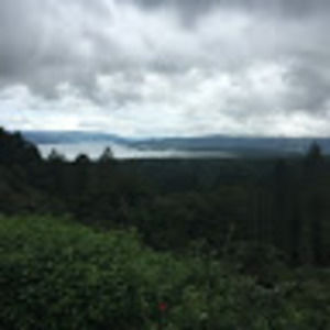 Meet your Posher, Arielle